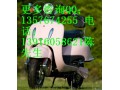 電摩大龜王電動(dòng)車/大龜王電動(dòng)摩托車/碟剎/踏板車