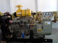 發(fā)電機(jī)組、柴油機(jī)發(fā)電機(jī)及柴油發(fā)電機(jī)組、專業(yè)制造——泰州陽光