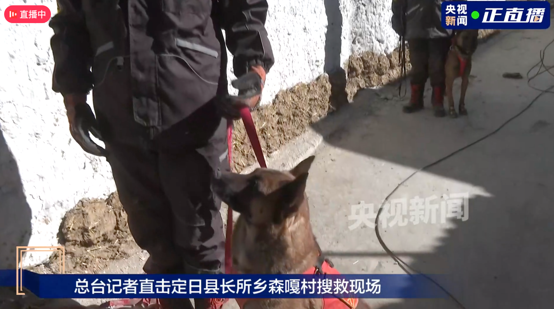 FireShot Capture 078 - 央視新聞直播-獨(dú)家直播丨持續(xù)關(guān)注西藏日喀則市定日縣6.8級地震救援最新進(jìn)展-百度直播 - live.baidu.com.png